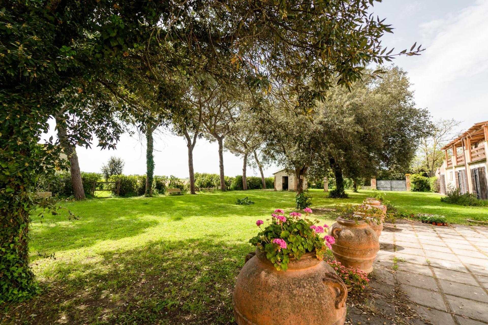 Agriturismo Bio San Mamiliano Grosseto Eksteriør billede