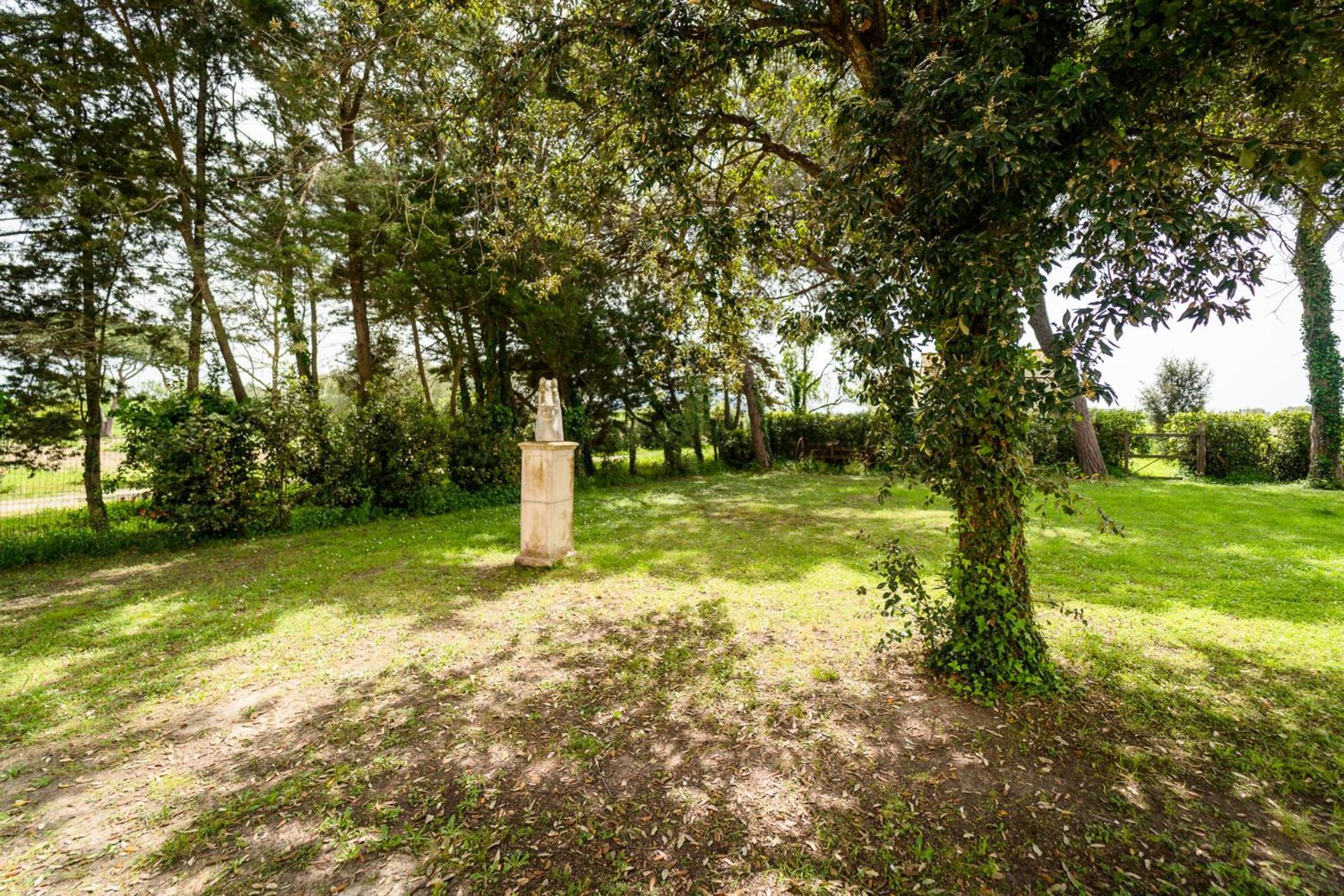 Agriturismo Bio San Mamiliano Grosseto Eksteriør billede